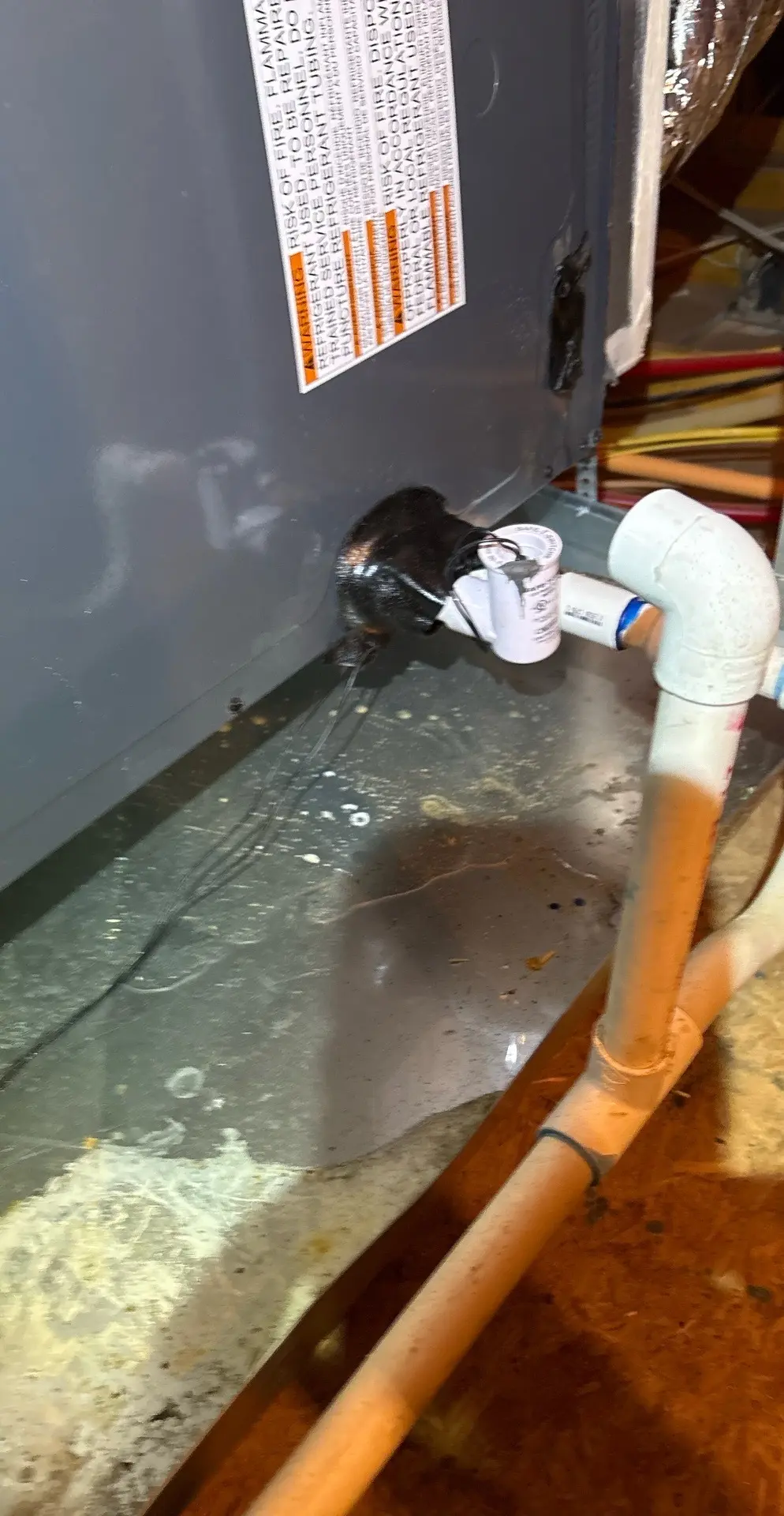 Base of an air handler showing corroded refrigerant connections and PVC condensate drain piping with a wet floor indicating a water leak.