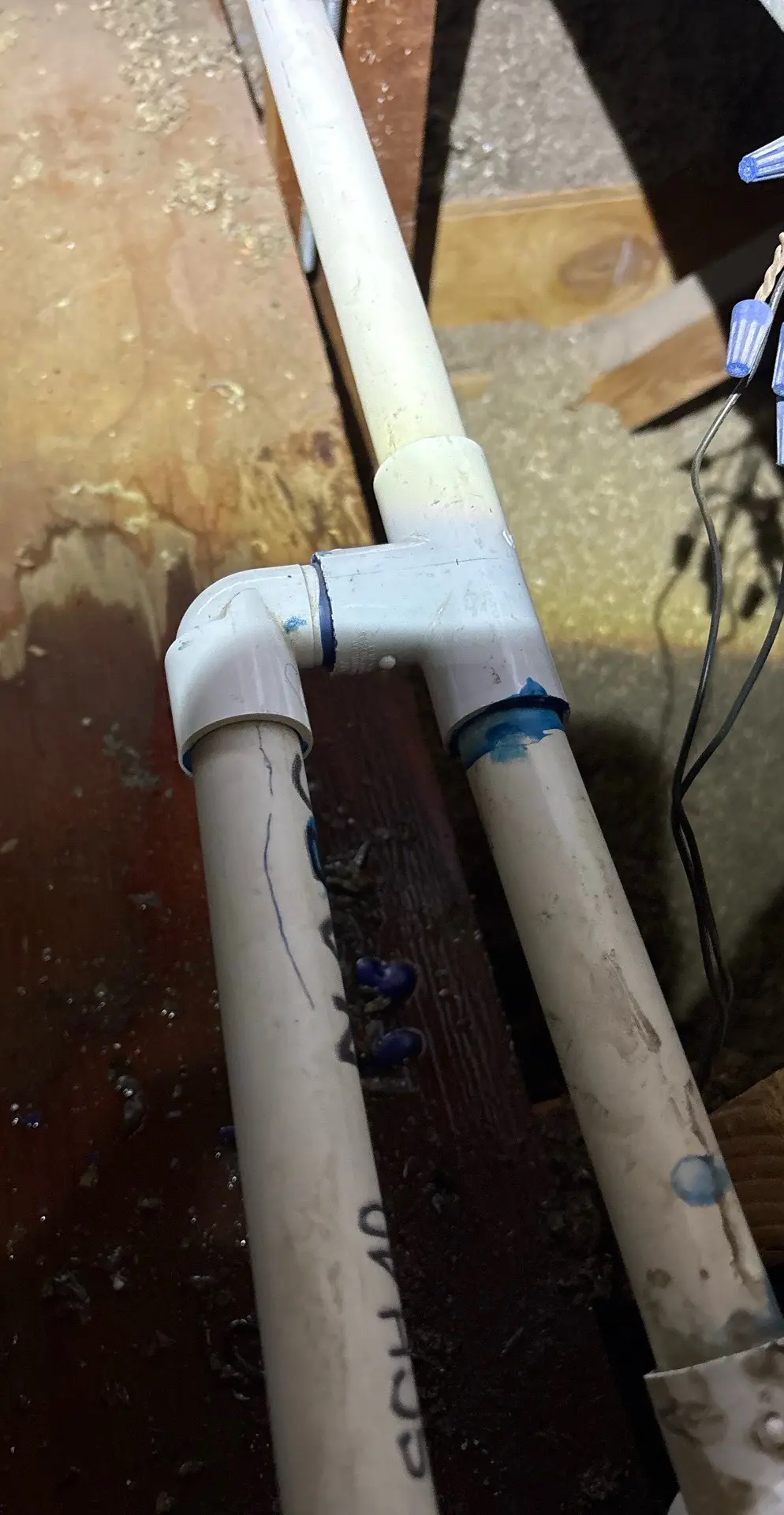 Newly assembled PVC tee and elbow fittings joining water supply pipes with fresh blue primer in a crawl space.
